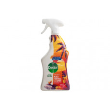 DETTOL A-B MULTI-PURPOSE CLEANER ISLAND 750ML