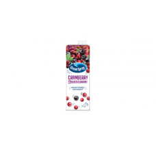 OCEAN SPRAY CRANBERRY BLACKCURRANT 1L