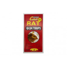 RAT GLUE TRAPS 2 PACK