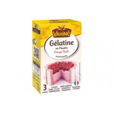 VAHINE GELATINE EN POUDRE 18G