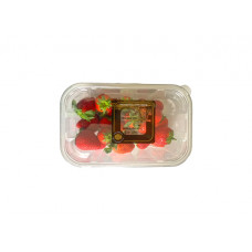 HOLLAND STRAWBERRIES PACKED 500G