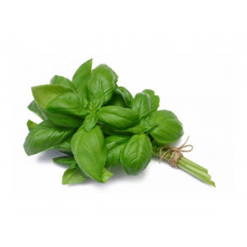 HOLLAND BASIL PACKED 100G