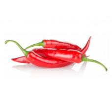 HOLLAND CHILLY JALAPENO RED 100G