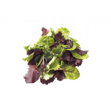 LETTUCE MESCLUN MIX ITALY PACKED 125G