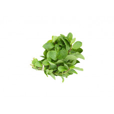 MINT SPAIN PACKED 100G