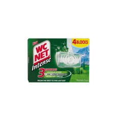 WC NET INTENSE RIM BLOCKS MOUNTAIN FRESH 34G