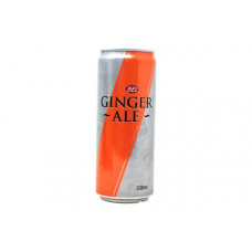 BEL GINGER ALE CAN 330ML
