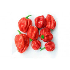 FRESH RED CHILLI PACKED 200G